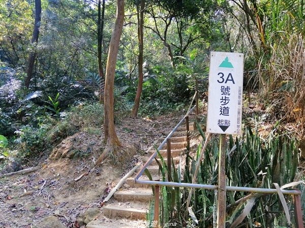 【台中豐原】悠靜的秘境步道。 三崁頂健康步道(北坑步道)