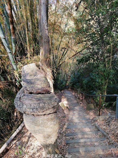 【台中豐原】悠靜的秘境步道。 三崁頂健康步道(北坑步道)