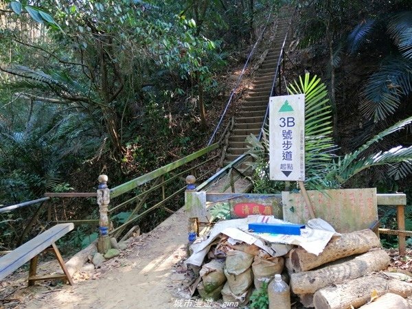 【台中豐原】悠靜的秘境步道。 三崁頂健康步道(北坑步道)