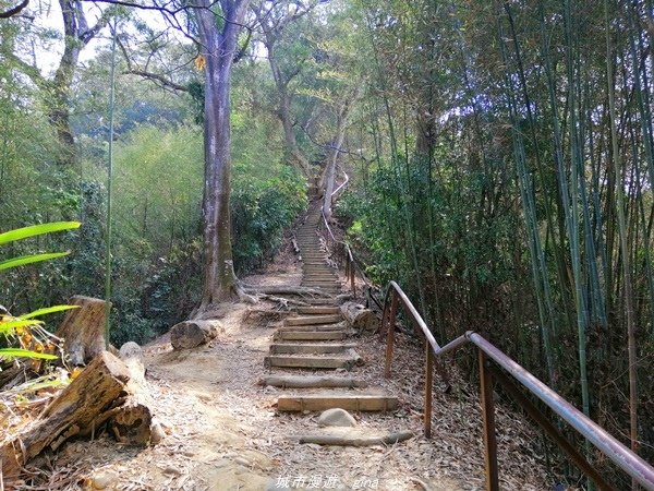 【台中豐原】悠靜的秘境步道。 三崁頂健康步道(北坑步道)