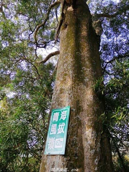 【台中豐原】悠靜的秘境步道。 三崁頂健康步道(北坑步道)