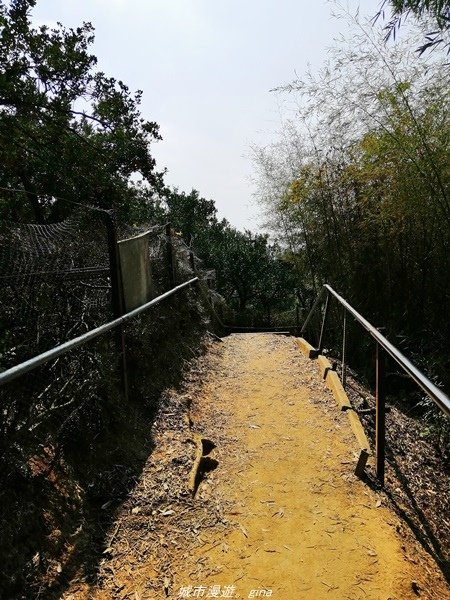 【台中豐原】悠靜的秘境步道。 三崁頂健康步道(北坑步道)