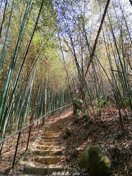 【台中豐原】悠靜的秘境步道。 三崁頂健康步道(北坑步道)