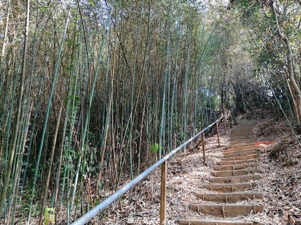 【台中豐原】悠靜的秘境步道。 三崁頂健康步道(北坑步道)