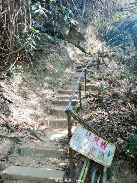 【台中豐原】悠靜的秘境步道。 三崁頂健康步道(北坑步道)