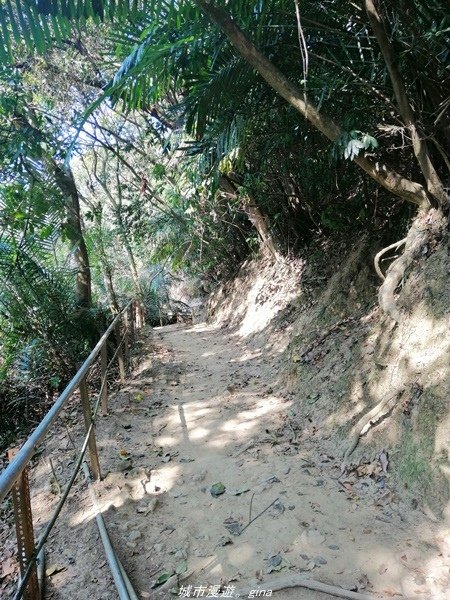 【台中豐原】悠靜的秘境步道。 三崁頂健康步道(北坑步道)