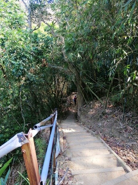 【台中豐原】悠靜的秘境步道。 三崁頂健康步道(北坑步道)