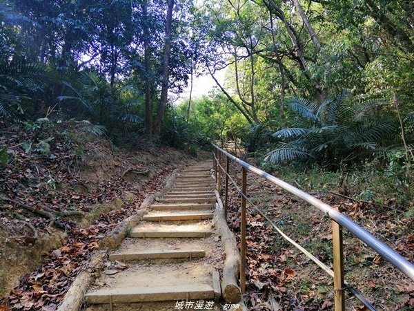 【台中豐原】悠靜的秘境步道。 三崁頂健康步道(北坑步道)