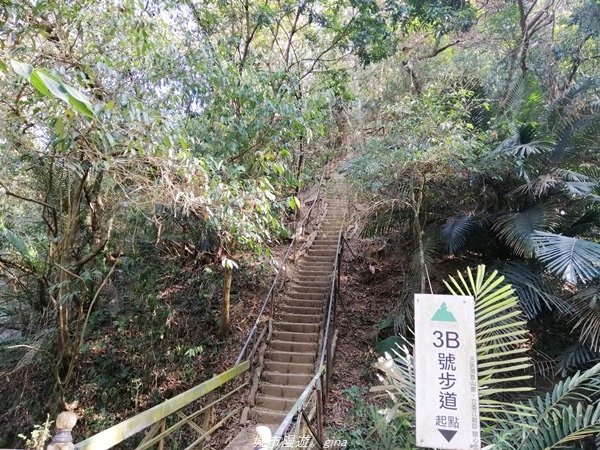 【台中豐原】悠靜的秘境步道。 三崁頂健康步道(北坑步道)