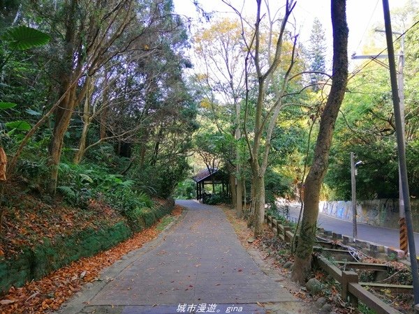 【台中豐原】悠靜的秘境步道。 三崁頂健康步道(北坑步道)