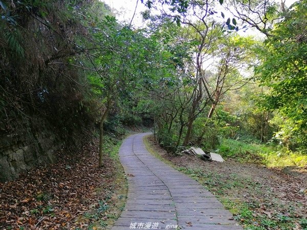 【台中豐原】悠靜的秘境步道。 三崁頂健康步道(北坑步道)