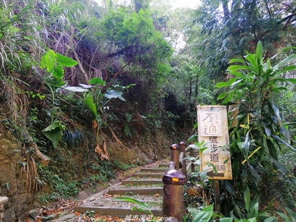 【台中豐原】悠靜的秘境步道。 三崁頂健康步道(北坑步道)