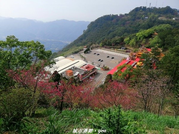 【苗栗獅潭】登高望遠。 仙山協靈宮九天玄女娘娘x仙山仙草