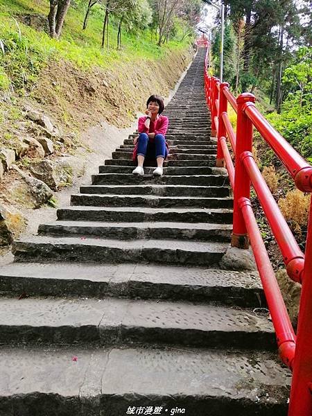 【苗栗獅潭】登高望遠。 仙山協靈宮九天玄女娘娘x仙山仙草