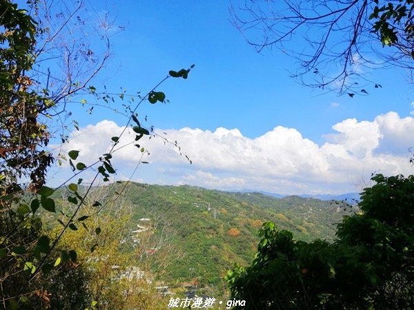 【台中太平】原始悠靜山林。 淨德寺後山步道