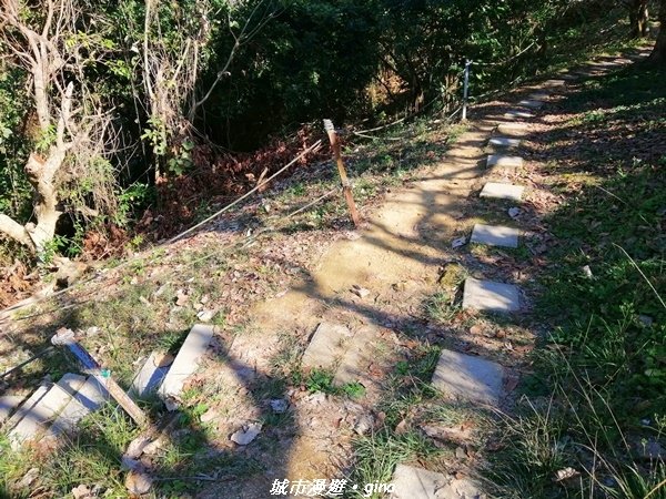 【台中太平】原始悠靜山林。 淨德寺後山步道