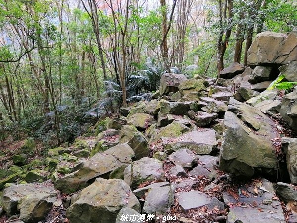 【苗栗泰安】手腳並用之虎山行。 水雲三星~虎山步道