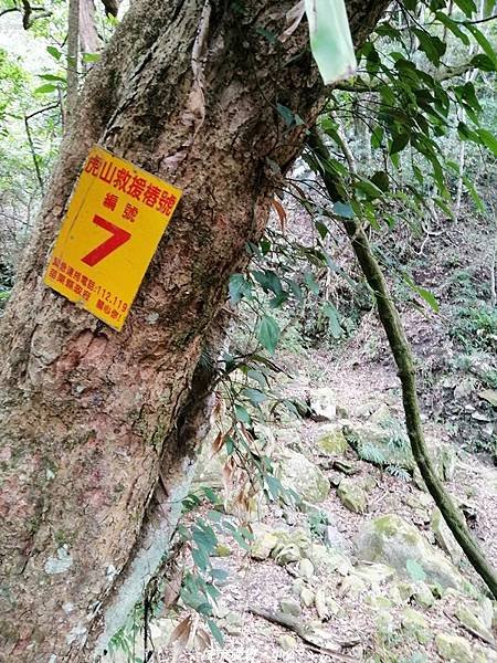 【苗栗泰安】手腳並用之虎山行。 水雲三星~虎山步道
