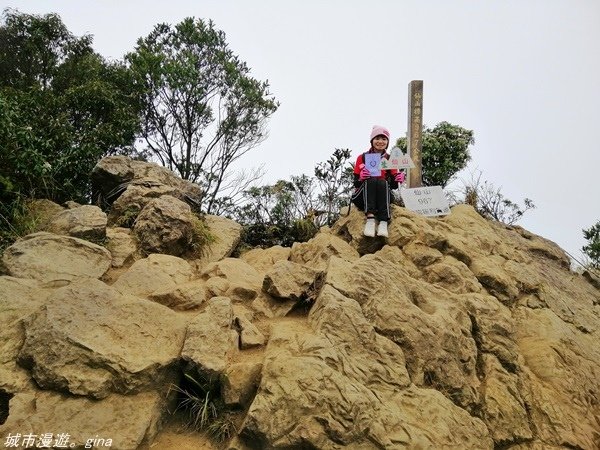 【苗栗獅潭】雲霧裊裊如仙境。 No33小百岳~仙山登山步道