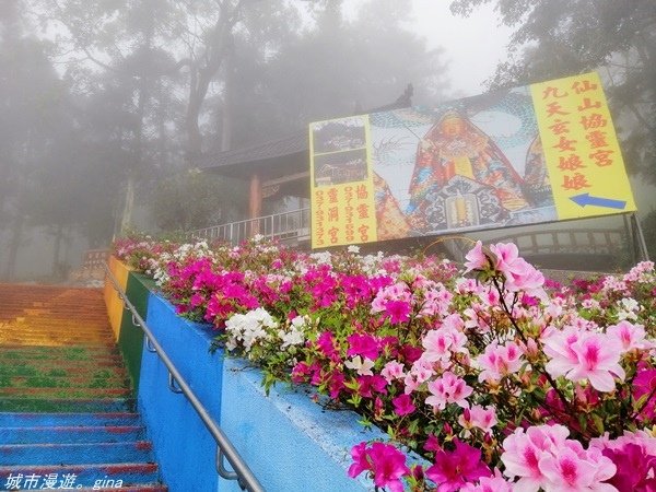 【苗栗獅潭】雲霧裊裊如仙境。 No33小百岳~仙山登山步道