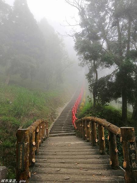 【苗栗獅潭】雲霧裊裊如仙境。 No33小百岳~仙山登山步道