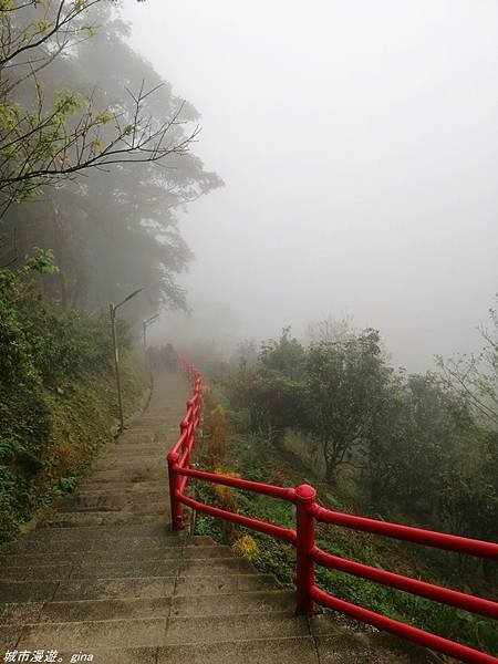 【苗栗獅潭】雲霧裊裊如仙境。 No33小百岳~仙山登山步道