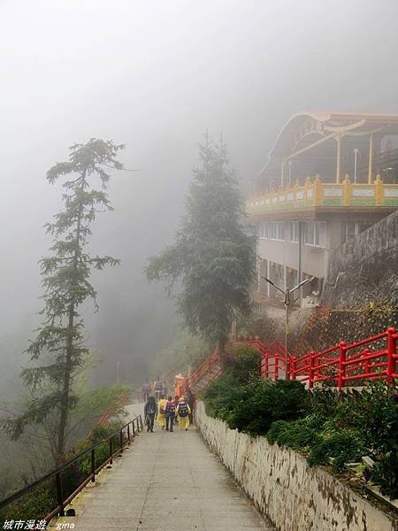 【苗栗獅潭】雲霧裊裊如仙境。 No33小百岳~仙山登山步道