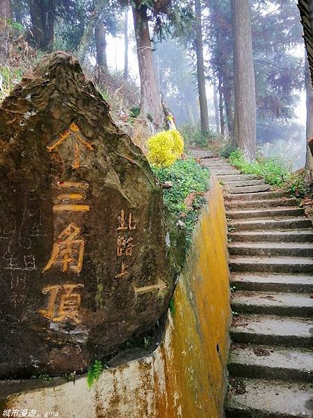 【苗栗獅潭】雲霧裊裊如仙境。 No33小百岳~仙山登山步道