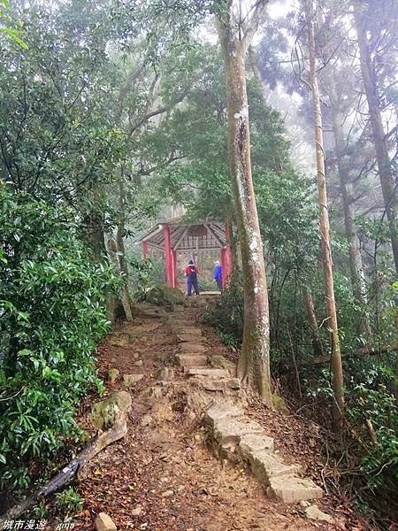 【苗栗獅潭】雲霧裊裊如仙境。 No33小百岳~仙山登山步道