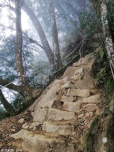 【苗栗獅潭】雲霧裊裊如仙境。 No33小百岳~仙山登山步道