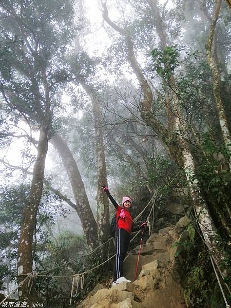 【苗栗獅潭】雲霧裊裊如仙境。 No33小百岳~仙山登山步道