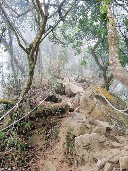 【苗栗獅潭】雲霧裊裊如仙境。 No33小百岳~仙山登山步道