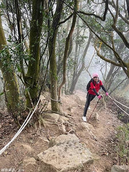 【苗栗獅潭】雲霧裊裊如仙境。 No33小百岳~仙山登山步道