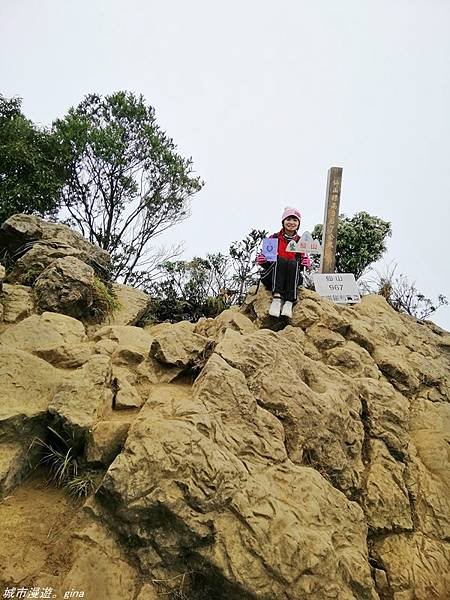 【苗栗獅潭】雲霧裊裊如仙境。 No33小百岳~仙山登山步道