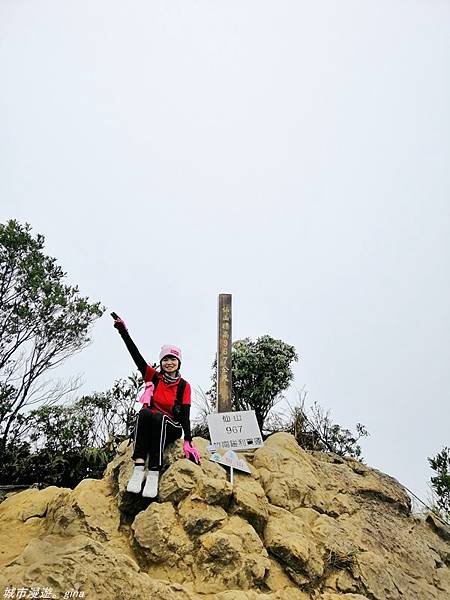 【苗栗獅潭】雲霧裊裊如仙境。 No33小百岳~仙山登山步道