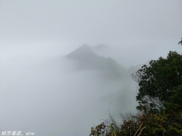 【苗栗獅潭】雲霧裊裊如仙境。 No33小百岳~仙山登山步道