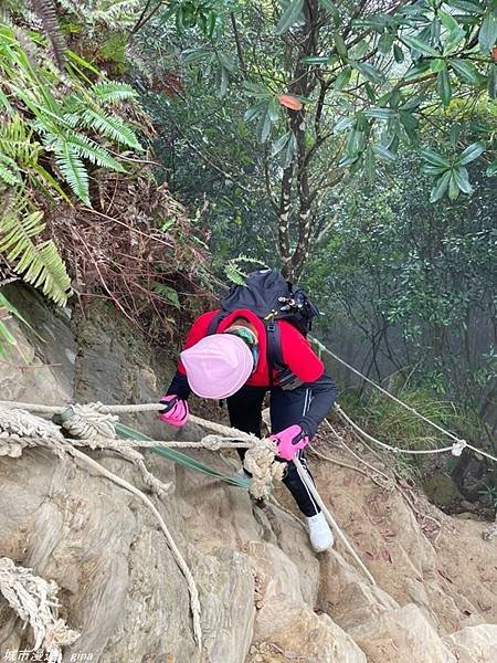 【苗栗獅潭】雲霧裊裊如仙境。 No33小百岳~仙山登山步道