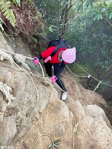 【苗栗獅潭】雲霧裊裊如仙境。 No33小百岳~仙山登山步道