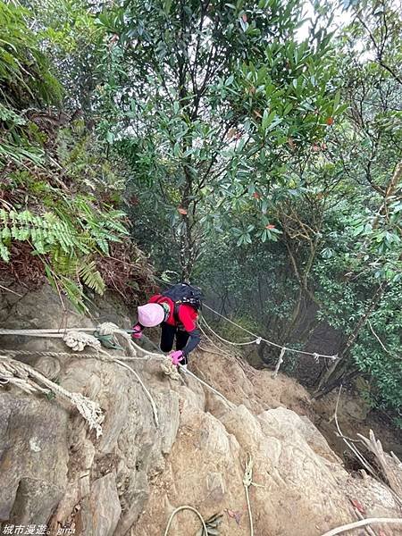 【苗栗獅潭】雲霧裊裊如仙境。 No33小百岳~仙山登山步道