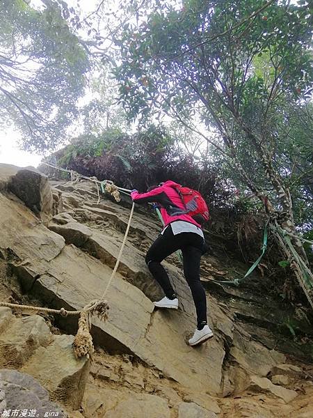 【苗栗獅潭】雲霧裊裊如仙境。 No33小百岳~仙山登山步道