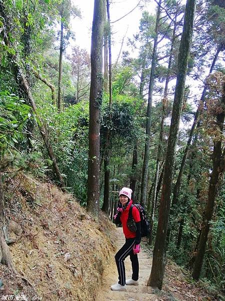 【苗栗獅潭】雲霧裊裊如仙境。 No33小百岳~仙山登山步道