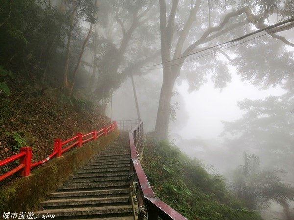 【苗栗獅潭】雲霧裊裊如仙境。 No33小百岳~仙山登山步道