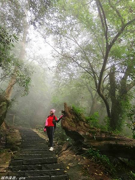 【苗栗南庄】雲霧裡的山中有朦朧美。No29小百岳~獅頭山