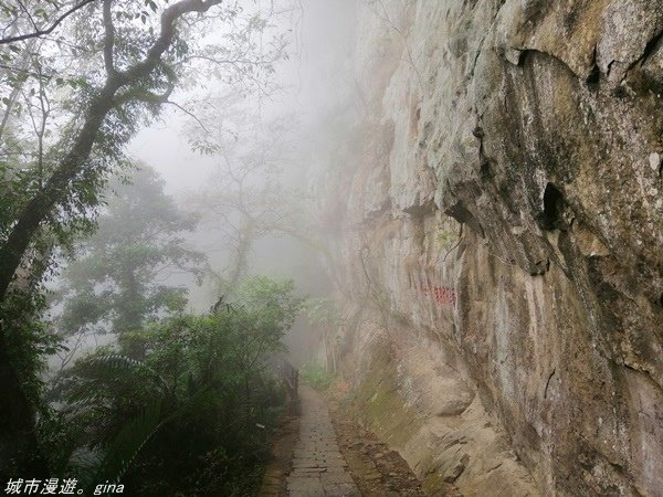 【苗栗南庄】雲霧裡的山中有朦朧美。No29小百岳~獅頭山