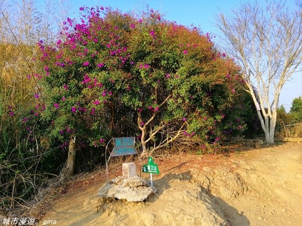 【苗栗大湖】悠閒感受山林的愜意。 No36小百岳~出關古道：