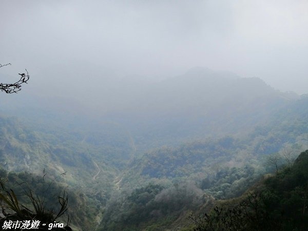 【雲林古坑】絕美孟宗竹林有如置身武俠電影場景。嘉南雲峰x石壁