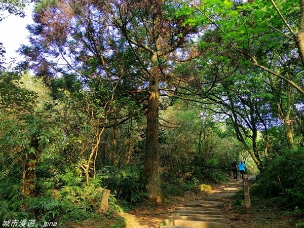 【基隆七堵】360度環繞山景。 No11小百岳_姜子寮山