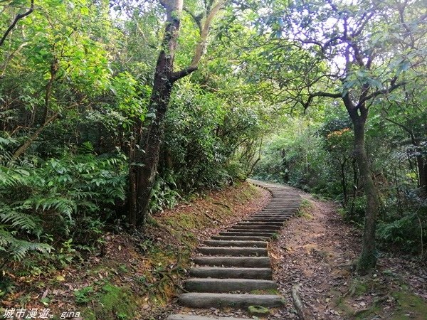 【基隆七堵】360度環繞山景。 No11小百岳_姜子寮山