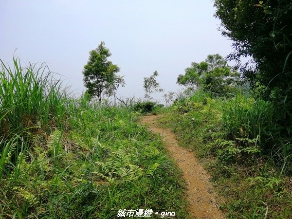 【宜蘭礁溪】風和日麗好親山。No84小百岳~鵲子山
