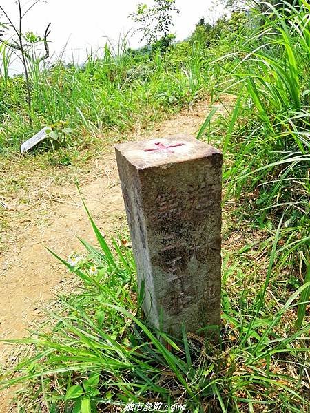 【宜蘭礁溪】風和日麗好親山。No84小百岳~鵲子山